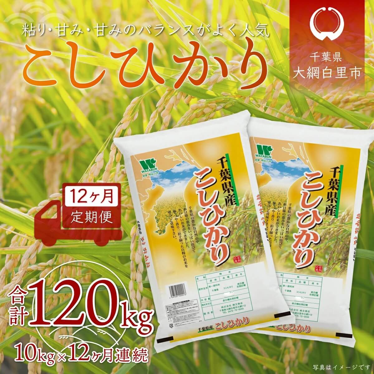 千葉県産コシヒカリ 定期便 10kg 12ヶ月