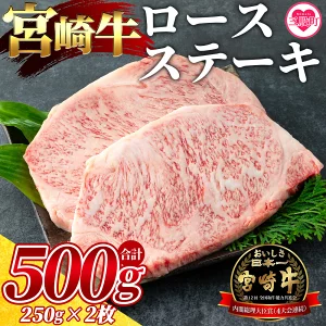 宮崎牛！ロースステーキ(計500g・250g×2)ご家庭で美味しい牛肉を楽しめる！【MI058】【ミヤチク】