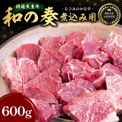 国産のエサのみで育てた特選天童牛"和の奏"カレー シチュー用600g【山形県 天童市】