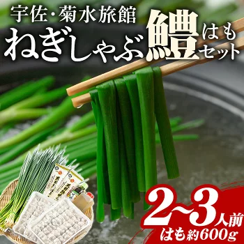 ねぎしゃぶ 鱧 セット ねぎしゃぶしゃぶ はも 鍋セット 鍋 うどん付き 送料無料