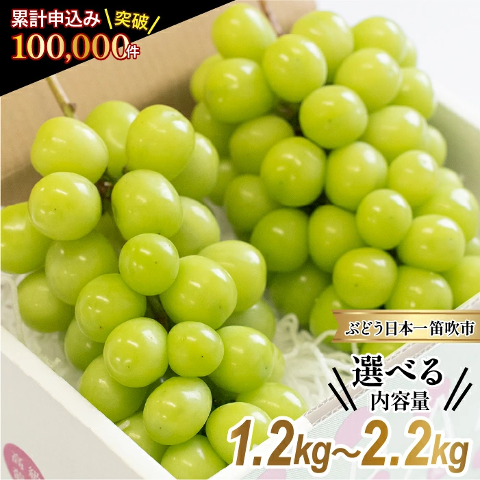 山梨県笛吹市産 シャインマスカット 約1.2kg以上(2〜3房)