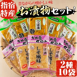 老舗「内薗賢漬物店」の本場つぼ漬！漬け物詰め合わせセット！(合計2種類10袋入) 鹿児島 漬物 つけもの お漬物 おつけもの つぼ漬 野菜 詰め合わせ セット お茶うけ お弁当 おかず 国産【道の駅山川港活お海道】