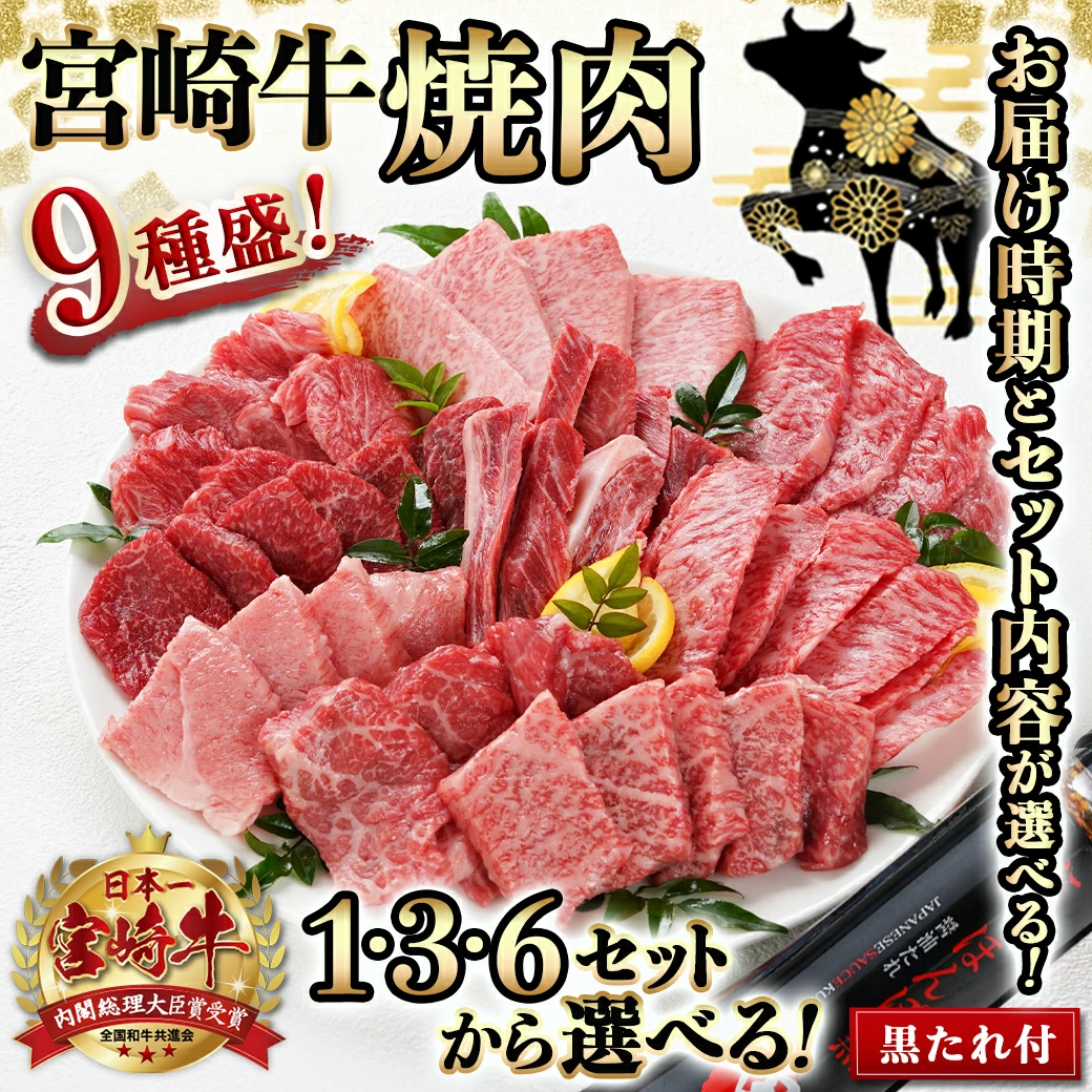 宮崎牛9種盛り焼肉セット 数量限定・お届け月が選べる