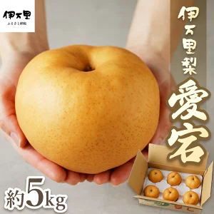 伊万里梨 「愛宕」 約5kg 大型種