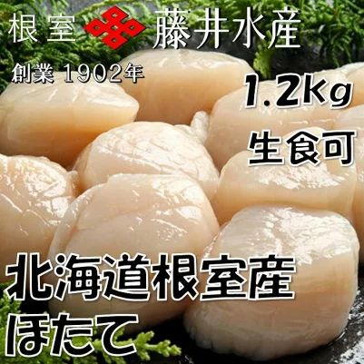 [北海道根室産]お刺身帆立貝柱1.5kg