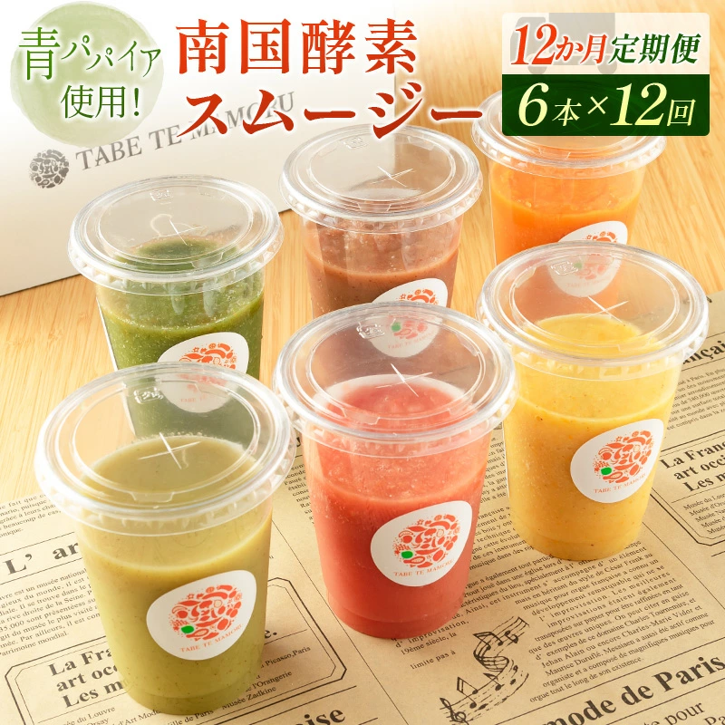 「定期便12か月コース」南国酵素スムージー　200ml×6本セット×12回　 野菜・果実ミックスジュース　青パパイア　果物　フルーツ　飲料　健康　栄養