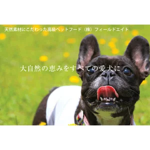 犬のおやつ大袋４点セット