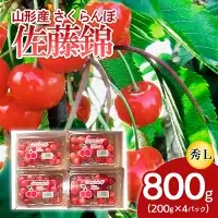 山形産 さくらんぼ 特選 佐藤錦 L 800g(200g×4パック入) 【令和7年産先行予約】FS24-506 くだもの 果物 フルーツ 山形 山形県 山形市 お取り寄せ 2025年産