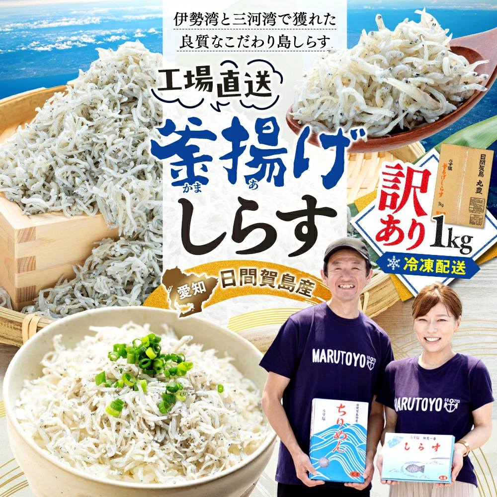 【ふるさと納税】 しらす 1kg ふるさと 納税 訳あり ( ふるさと納税しらす ふるさと納税 ちりめん ふるさと納税 釜揚げ しらす 魚 さかな 減塩 国産 シラス おつまみ おにぎり 離乳食 ご飯 ごはん ピザ サラダ 便利 丼 料理 日間賀 島 丸豊 ランキング ) 愛知県 南知多町