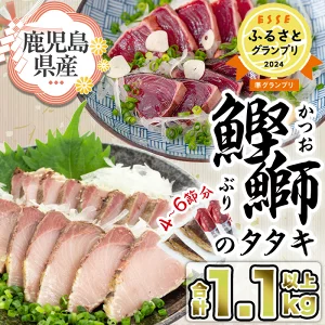 産地直送 かつおとブリのたたき炭火焼 海の幸大満足セット♪(合計1.1kg～1.3kg) 海鮮 魚介類 カツオ 鰹 鰤 鰹のたたき かつおのたたき カツオのたたき 鰤たたき ぶりたたき タタキ 炭火焼 魚 刺身 お造り 国産 冷凍 丼 お茶漬け 送料無料【指宿食品】