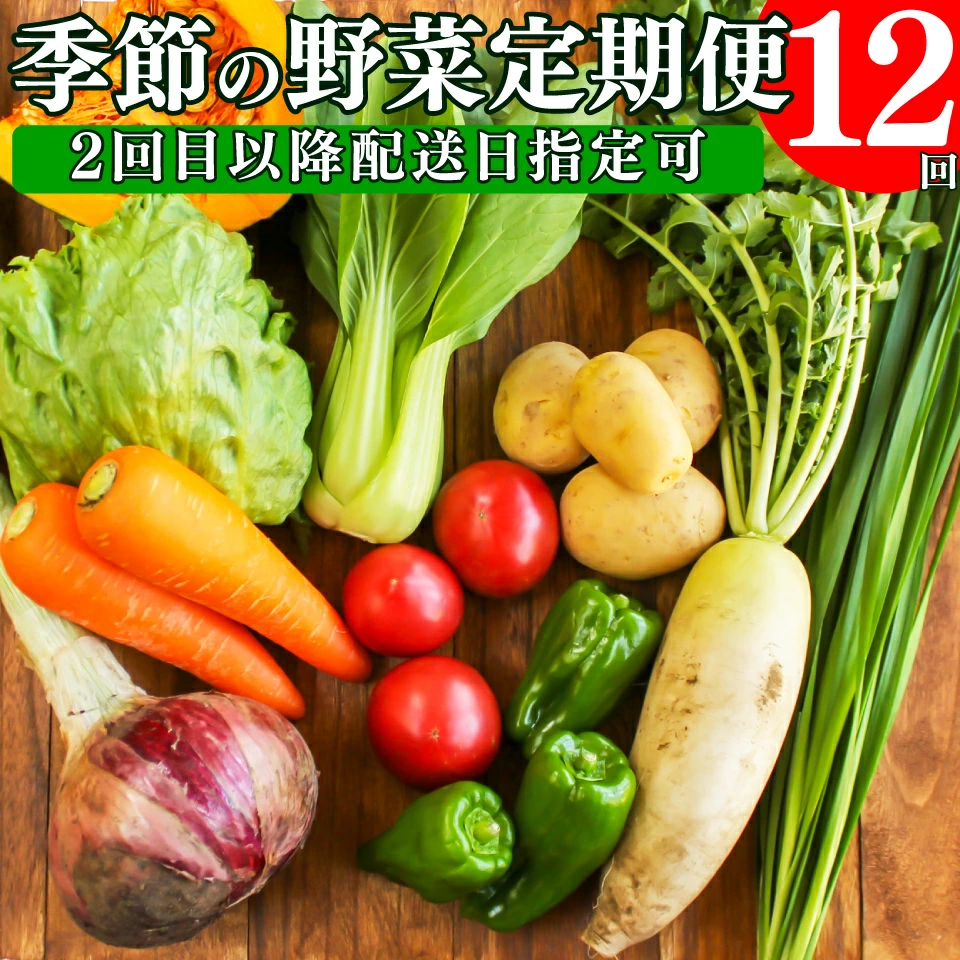 【ふるさと納税】年12回発送！＜南国高知から直送！旬の季節のお野菜定期便（7～9品）＞毎月お届け 野菜セット 野菜便 詰め合わせ 【冷蔵】 旬の時期にお届け 2回目以降、着日時間指定可能 こうち育ち 佐川町