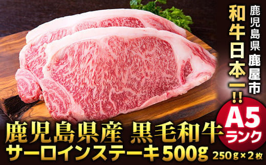 鹿児島県産黒毛和牛A5ランクサーロインステーキ500g［250g×2枚］