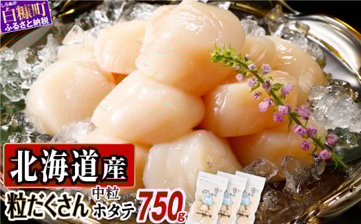 オホーツク産お刺身用ホタテ 750g（250g×3）