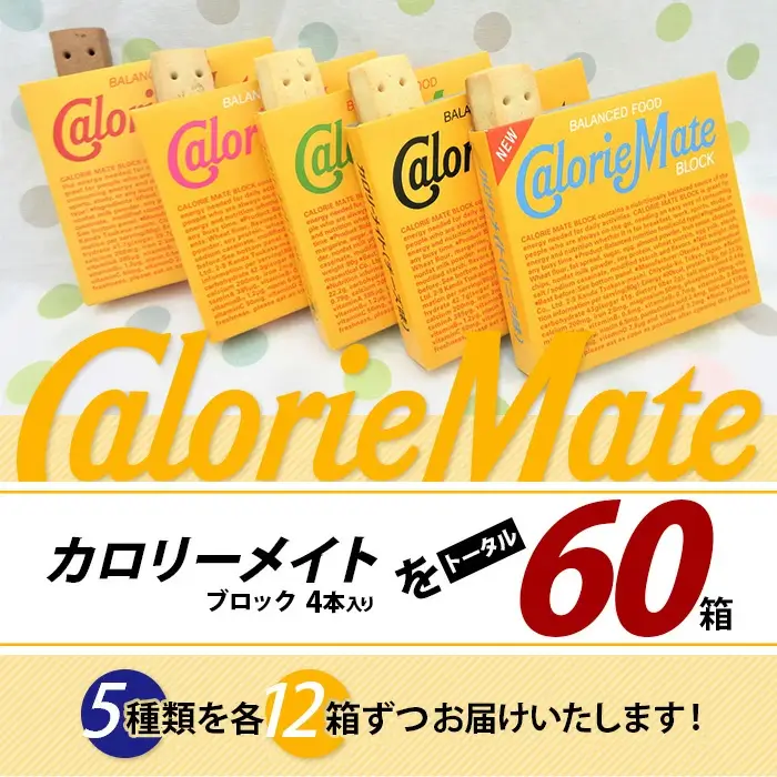 【ふるさと納税】【大塚製薬】カロリーメイト ブロック 4本入り 合計60箱 5種類×各12箱【徳島 那賀 カロリーメイト ブロック タイプ 5大栄養素 バランス栄養食 栄養補給 仕事 勉強 スポーツ 防災 災害 地震 非常食 常備食 備蓄 受験 受験応援 新生活 大塚製薬】MS-2