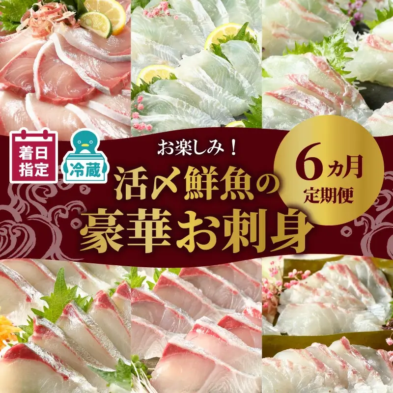 【お楽しみ定期便】延岡産活〆鮮魚の豪華お刺身
