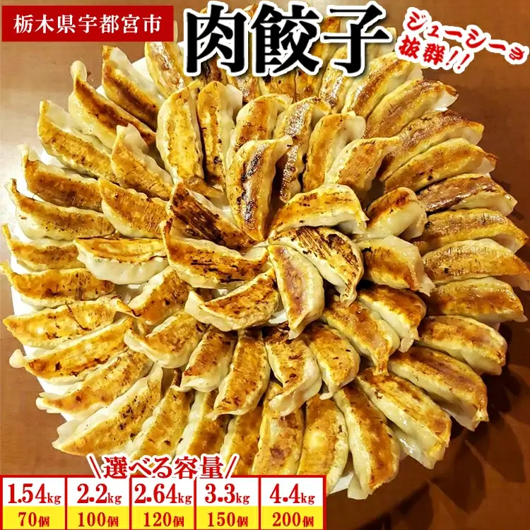 餃子専門店 宇都宮 悟空 肉餃子