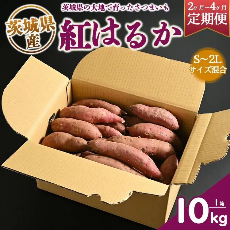 【定期便】生芋　10kg　S～2Lサイズ混合　1箱