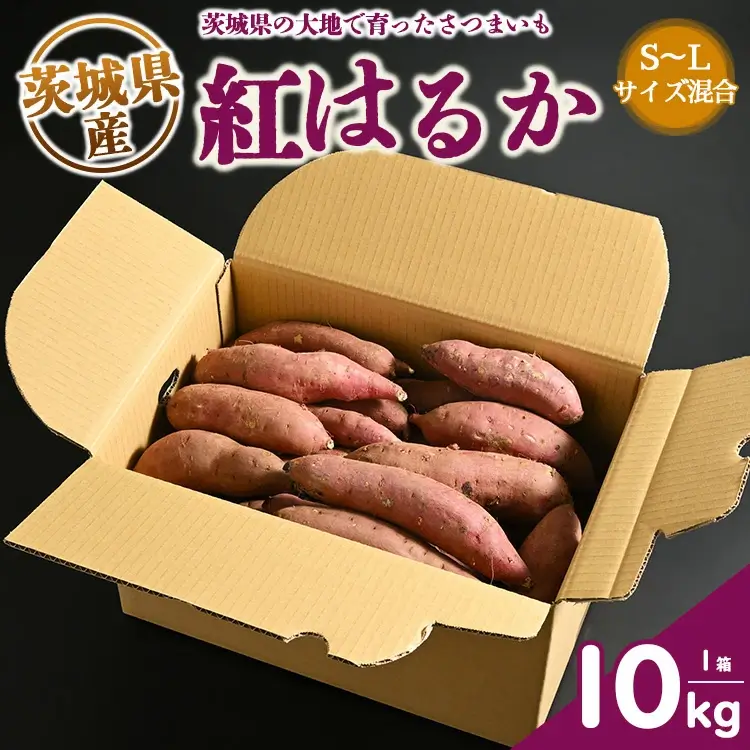 生芋　10kg　S～Lサイズ混合　1箱