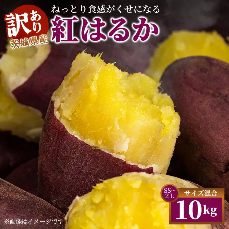 【訳あり】生芋10kg　SSサイズ～2Lサイズ（サイズバラ）