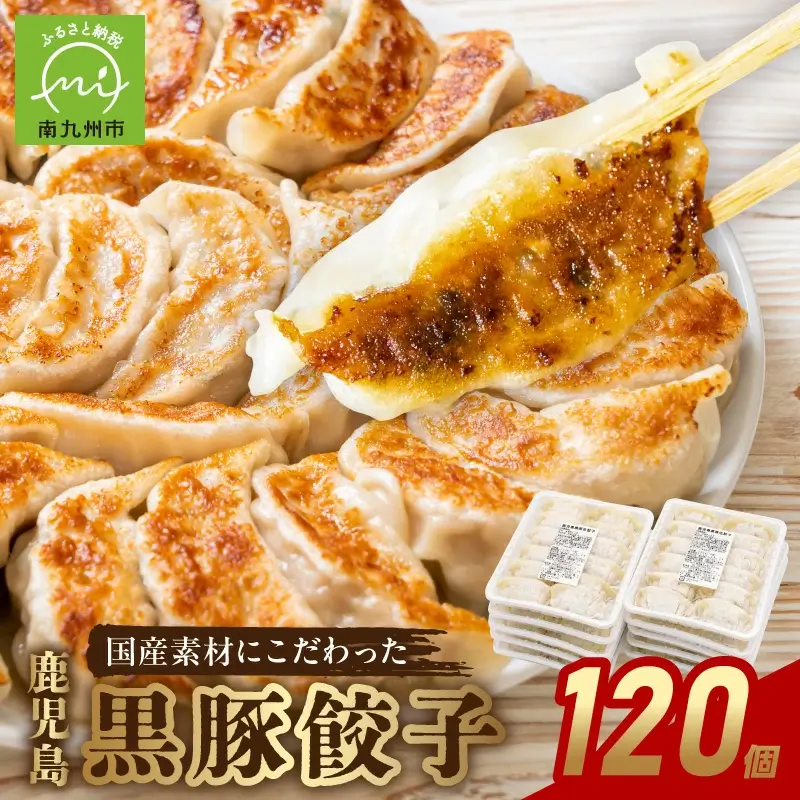 高評価 餃子 黒豚餃子 16g 鹿児島県南九州市 12個 鹿児島県南九州市 10パック 計120個 鹿児島黒豚 10051 焼き方 説明書付