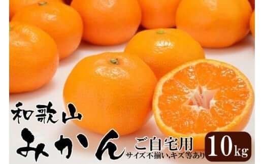 和歌山産 みかん 10kg 【ご自宅用・サイズ不揃い・キズ等あり】【ヤマタ大谷商店】