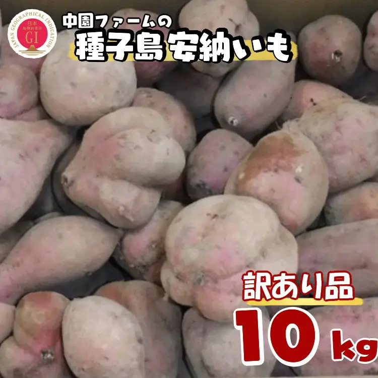 ＼ 新物 好評出荷中 ／ 【 訳あり 】 種子島 安納いも わけあり 生いも 10kg