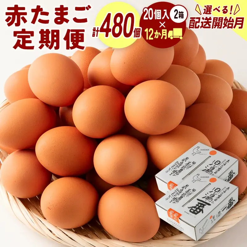 配送開始月が選べる!!＜児湯養鶏自慢の卵＞ネッカリッチ赤たまご「児湯一番」 計480個 （20個入×2箱）×12か月定期便 