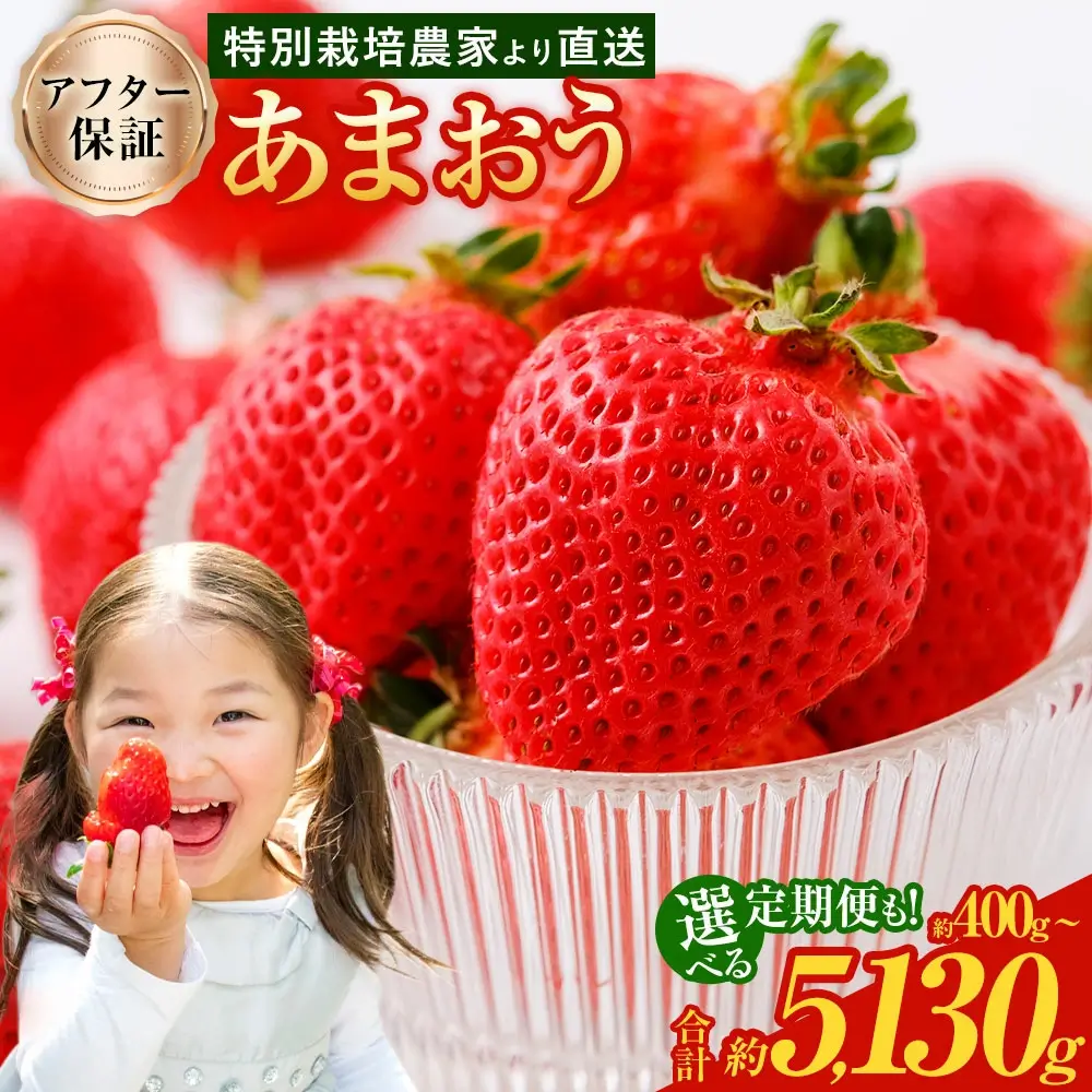 あまおう ★1パック追加★予約 【TVで紹介！】【特別栽培/有機質肥料/アフター保証】