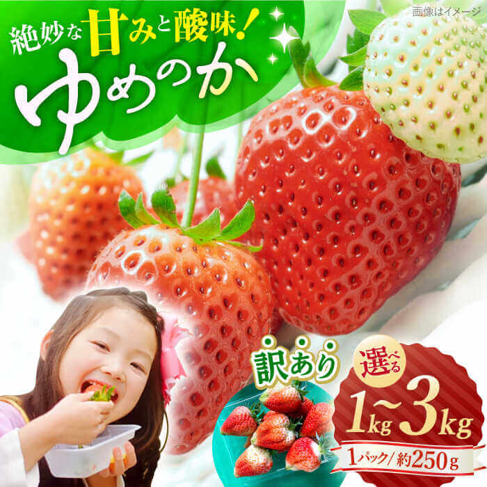【800円/kg】【訳あり】ゆめのか 1kg~3kg ＜川原農園＞